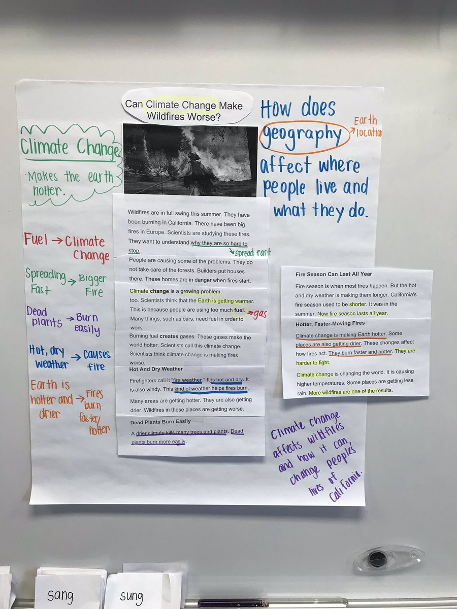 Lori A. Ridgely, EdD tweet media