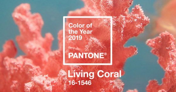 Adweek's tweet photo. Living Coral is Pantone's 2019 Color of the Year: https://t.co/ezx8FsCS5f https://t.co/sadhAn4i1S
