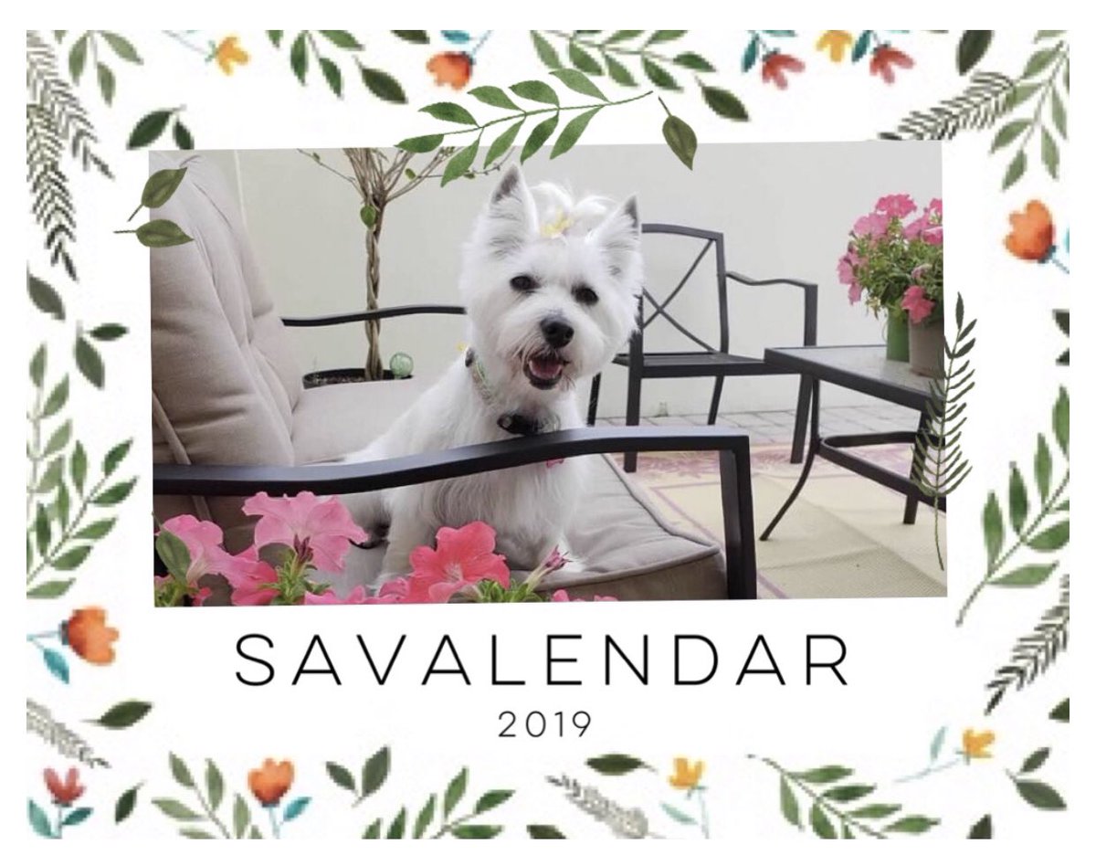 savanny_star's tweet photo. Mom just made my 2019 Savalendar! She says it makes her work day much happier to see my face! #loved #2019 #calendarsavalendar https://t.co/opQ4sFbUo1