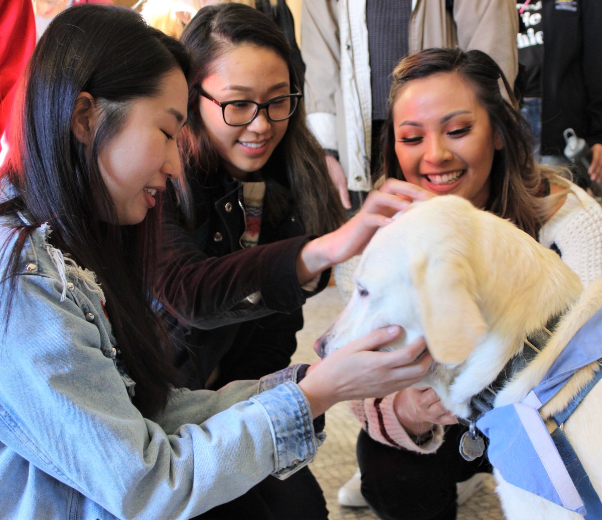 DominicanCANews's tweet photo. Thank you @MarinHumane Society #SHARE program for arranging for #Pause4Paws #TherapyDogs to visit our students on eve of #FinalsWeek #MarinHumane #MarinHumaneSociety #LessStress #BowWow #LoveDogs #ThisIsDUC https://t.co/CzoqT7oZBc