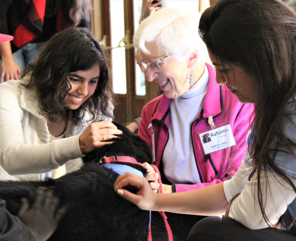 DominicanCANews's tweet photo. Thank you @MarinHumane Society #SHARE program for arranging for #Pause4Paws #TherapyDogs to visit our students on eve of #FinalsWeek #MarinHumane #MarinHumaneSociety #LessStress #BowWow #LoveDogs #ThisIsDUC https://t.co/CzoqT7oZBc