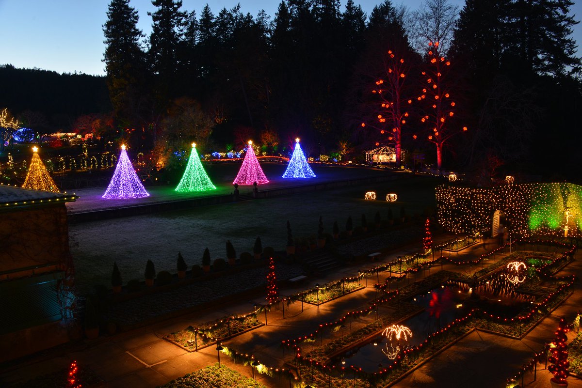 butchartgardens's tweet photo. Have you seen these new trees on the Residence Lawn?

Hint: one of the best places to view these is near the 9 Ladies Dancing!
Learn more about this year's Magic of Christmas display: https://t.co/sHpwzxcBAb
#ButchartChristmas https://t.co/BN1iR8Pdyo