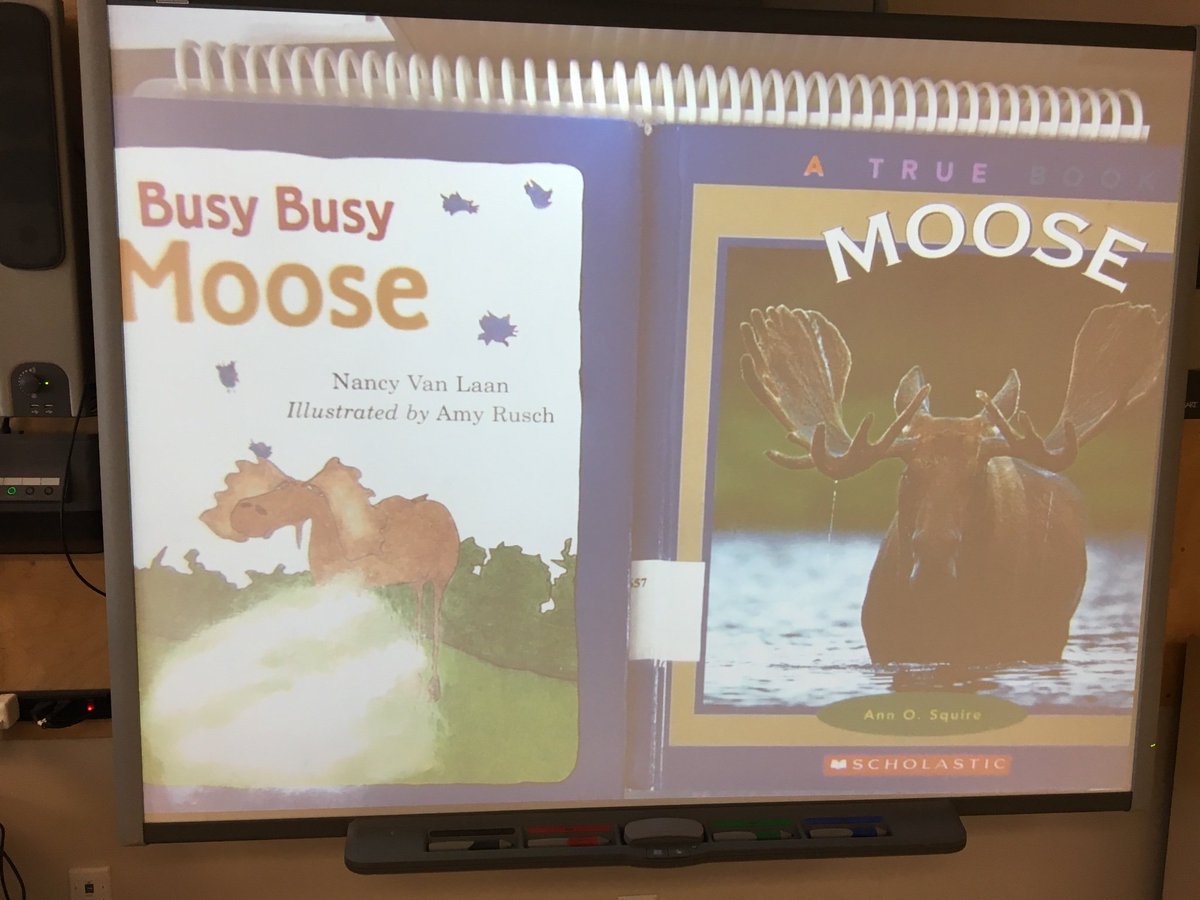 Grade 1’s exploring text sets to support their learning about animals in their community