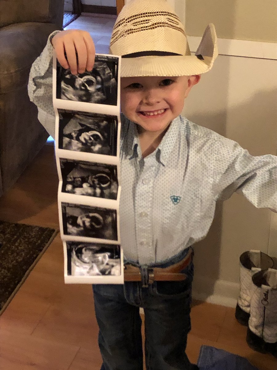 MasonWinters21's tweet photo. Jax is excited to announce he is going to have a little sister in April! https://t.co/oQn82He0sH