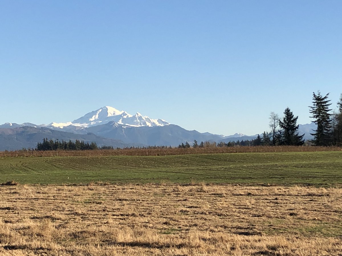 KeimTimeFB's tweet photo. Whoa...beautiful day in Bellingham/Lynden/Whatcom County recruiting. Mt Baker in all it’s glory. Wow! #GoLutes #Lutefb #LoveTheRoad #NewLutes #ApplyVisit 😎🏈💪🏻👍🏼👊🏻 https://t.co/U05JVNbaej