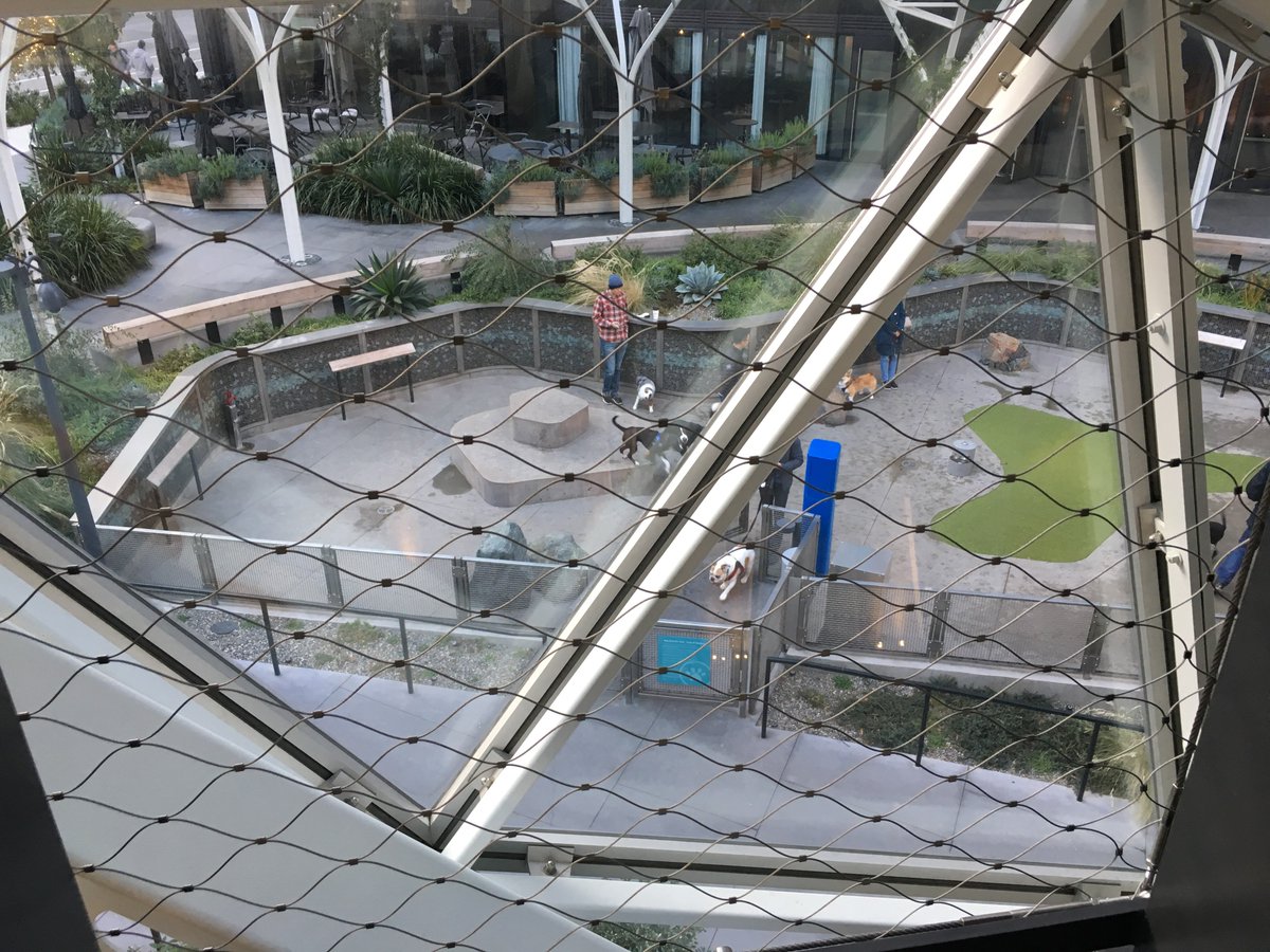 heidimiller's tweet image. Today’s “office” overlooks the dog park. #dogsofamazon