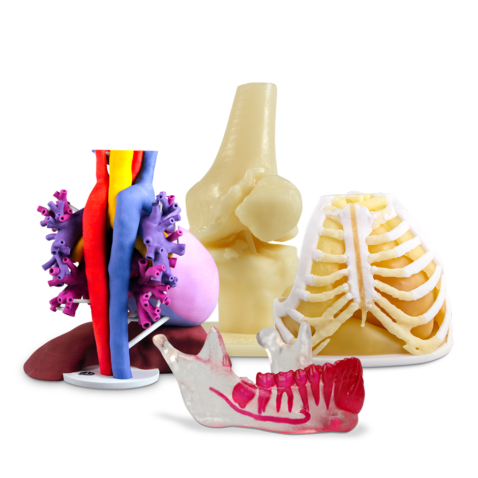3dheals's tweet photo. Radiological society of north america post guidelines for 3d printed anatomic models @RSNA #3dprinting #healthcare #anatomicmodel #guidelines #FDA #Medical #technology #JoinTheTribe https://t.co/kN1zQpX7xw https://t.co/JxTYKguUmE