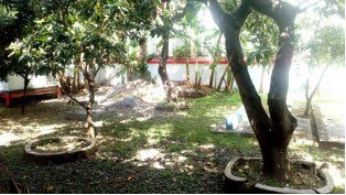 annifku's tweet photo. #TelkomFuntastic5 #BRIGHTTR5 #PSTREG5 (Witel Pasuruan) (Taman) : Kebun yang beralih fungsi menjadi taman sekaligus outdoor co-working space dan tempat parkir πππ@parwi66 @_funtastic5_ https://t.co/Rae6Mt0IAO
