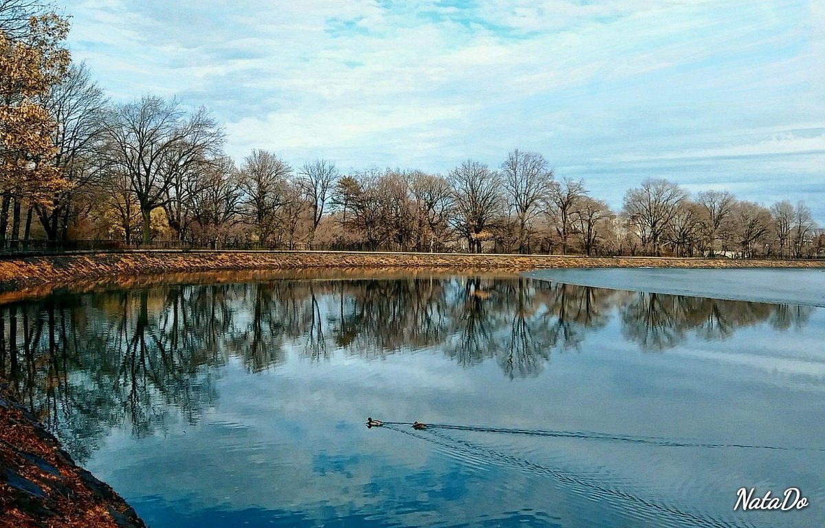 Reservoir, Central Park
#bhportdev #CentralPark #NYC