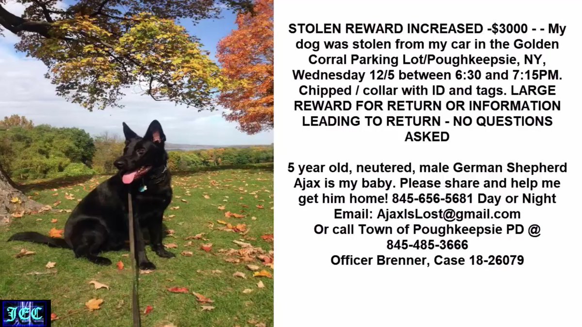 Isca_Photo's tweet photo. $3000 REWARD FOR THE SAFE RETURN OF A GERMAN SHEPHERD STOLEN FROM PLOUGHKEEPSIE NEW YORK https://t.co/EoRZmvNAkg