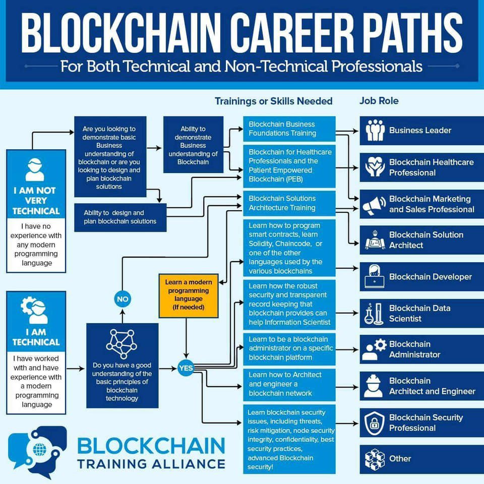 Career Flow Chart