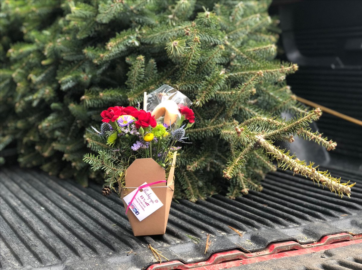 LuckyYuFlowers's tweet photo. A FUN way to say THANK YOU for helping me get the tree in the house!

To order: https://t.co/EGzEe82c2T LY13 for 13% off for the holidays.

#adorable #luckyu #freeshipping #holidayflowers #thankyou #perfecthankyou #holiday #christmastree #helpingout #joy https://t.co/EKiD4CZouC