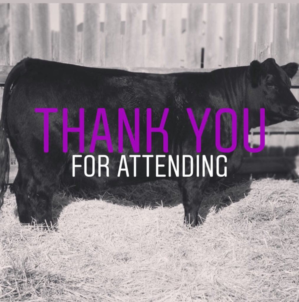 Thank you for attending the 41st Annual Simmsational Sale. We appreciate all of you who took the time to attend the sale. Thank you buyers and bidders!  

LOT 31- $7,500
LOT 30- $4,500
<a href="/trnscn/">Transcon Livestock Corp.</a>  #Simmsational #Simmental #Cattle #Purebred