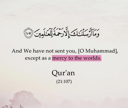 MCCA_IslamicFin's tweet photo. MCCA Islamic Finance and Investment https://t.co/I85grfpabN