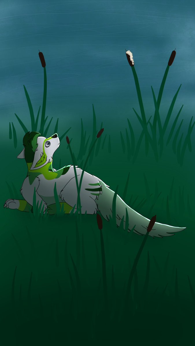 OakFurry's tweet photo. https://t.co/kpEYcS9jW6
