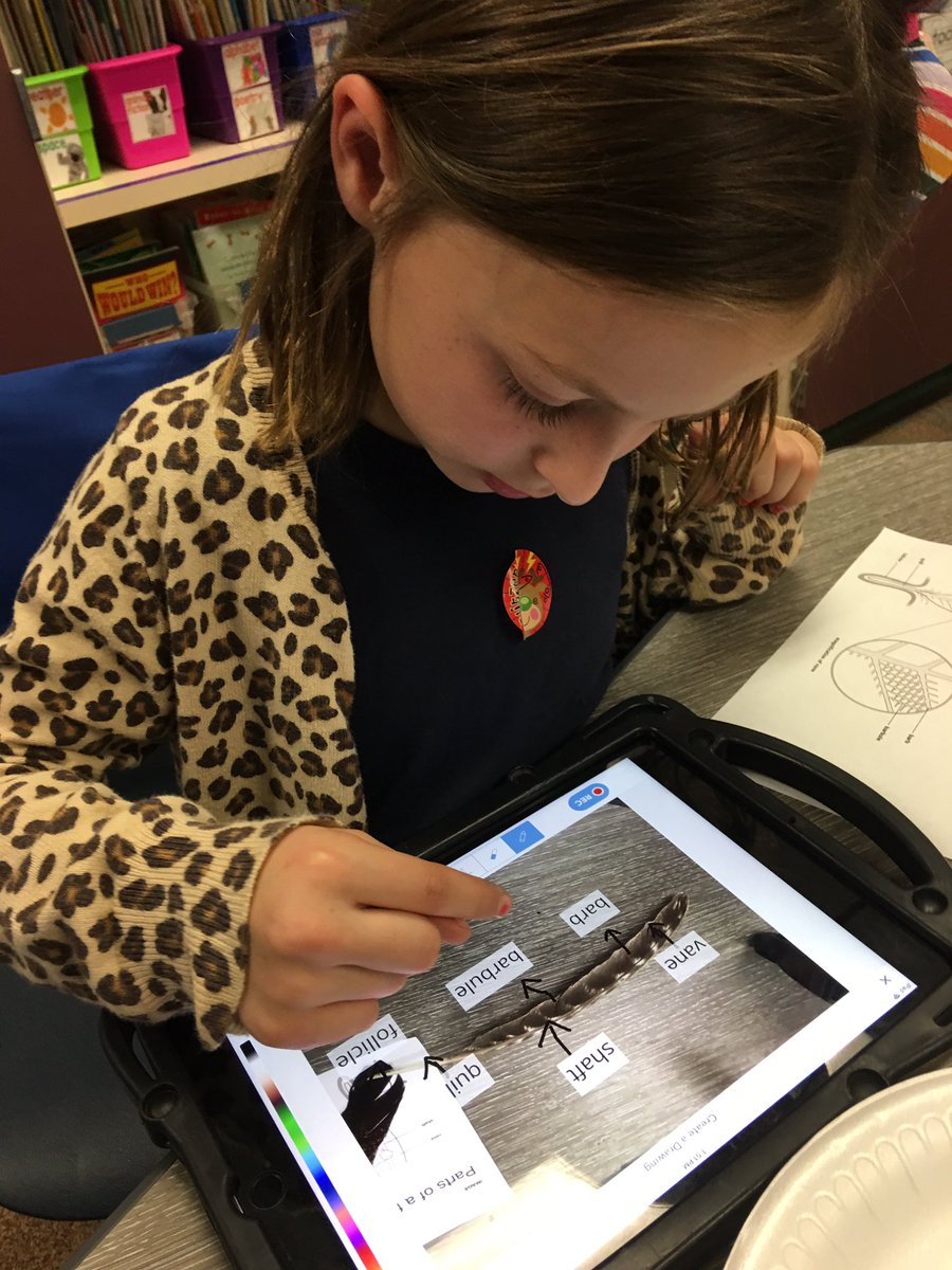 SimmonsEagles1's tweet photo. Students were fascinated by these #smartmicroscopes as they looked at feathers! Then they used @Seesaw as their interactive digital notebook to record observations! @GCISDInTech @aszahn66 @CristiGCISD #gcisdsci #hessoars https://t.co/zO3sSu13ya