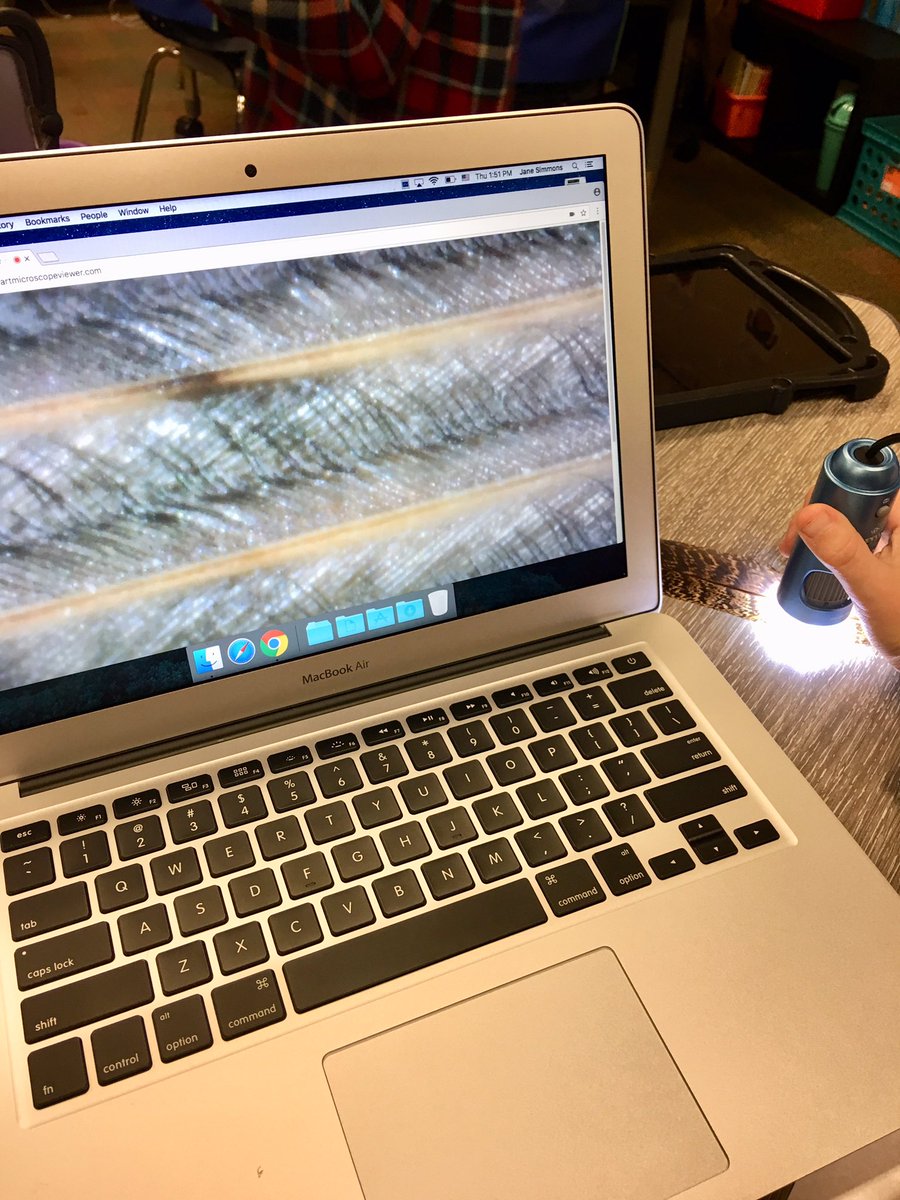 SimmonsEagles1's tweet photo. Students were fascinated by these #smartmicroscopes as they looked at feathers! Then they used @Seesaw as their interactive digital notebook to record observations! @GCISDInTech @aszahn66 @CristiGCISD #gcisdsci #hessoars https://t.co/zO3sSu13ya