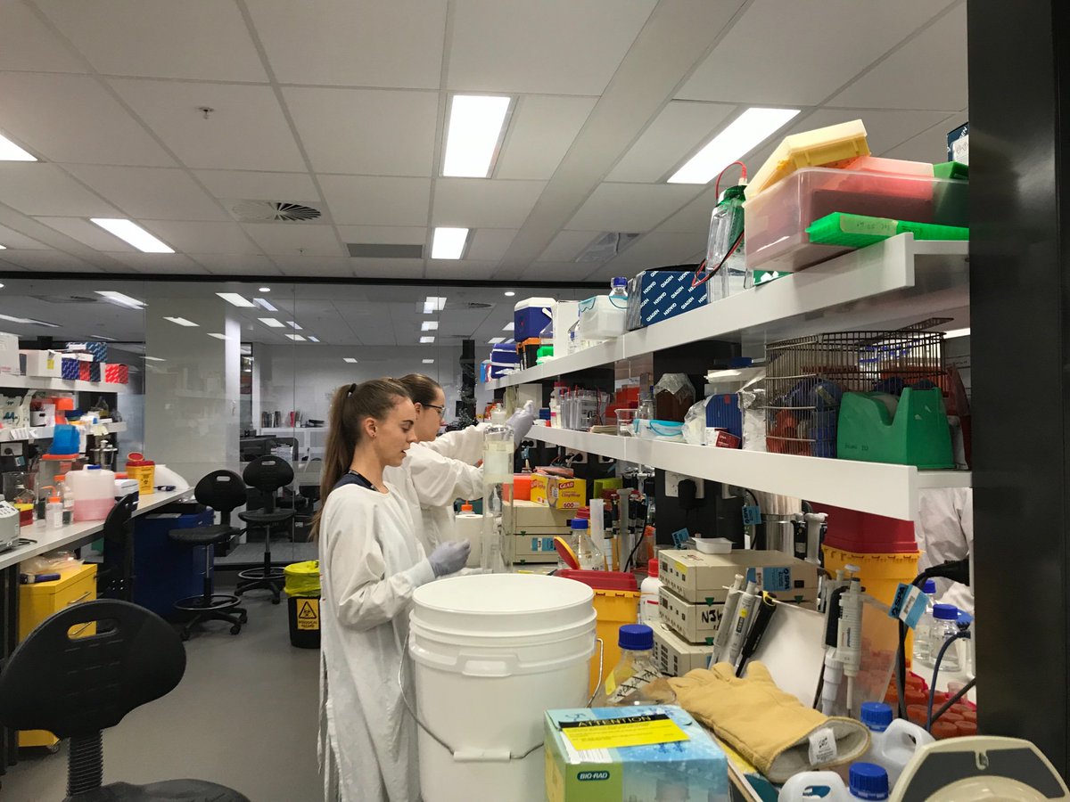 KateGQuinlan's tweet photo. The Christmas music playlist is playing & it’s all hands on deck for lab clean-up day. All this chucking makes me unaccountably happy! #labcleanupday https://t.co/1B2ze7Zcvr