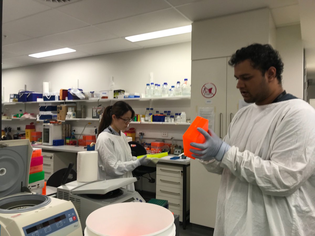 KateGQuinlan's tweet photo. The Christmas music playlist is playing & it’s all hands on deck for lab clean-up day. All this chucking makes me unaccountably happy! #labcleanupday https://t.co/1B2ze7Zcvr