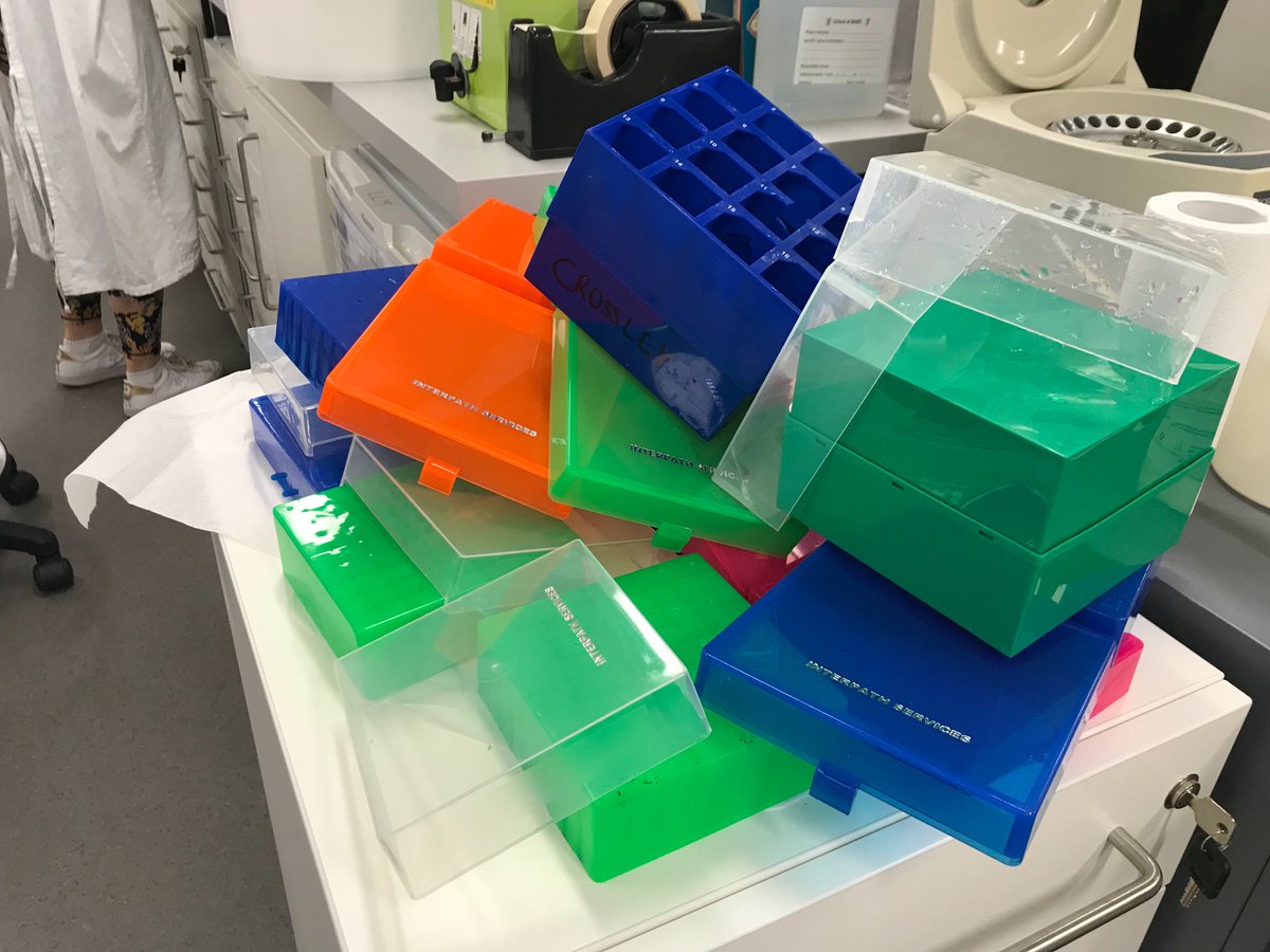 KateGQuinlan's tweet photo. The Christmas music playlist is playing & it’s all hands on deck for lab clean-up day. All this chucking makes me unaccountably happy! #labcleanupday https://t.co/1B2ze7Zcvr