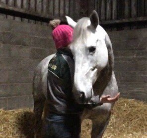 LizzieBlamire's tweet photo. Mamiegrey #poweredbypure #purefeed @PureFeed #hollybushfarm #cumbria https://t.co/124nxQx0WP