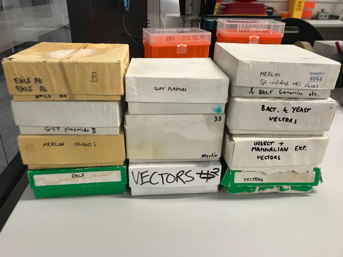 KateGQuinlan's tweet photo. Look what we unearthed in the freezer! Lots of old boxes of @MerlinCrossley’s! I’ve put them aside for you to look through this afternoon Merlin... #labcleanupday https://t.co/5JoQL32kTu