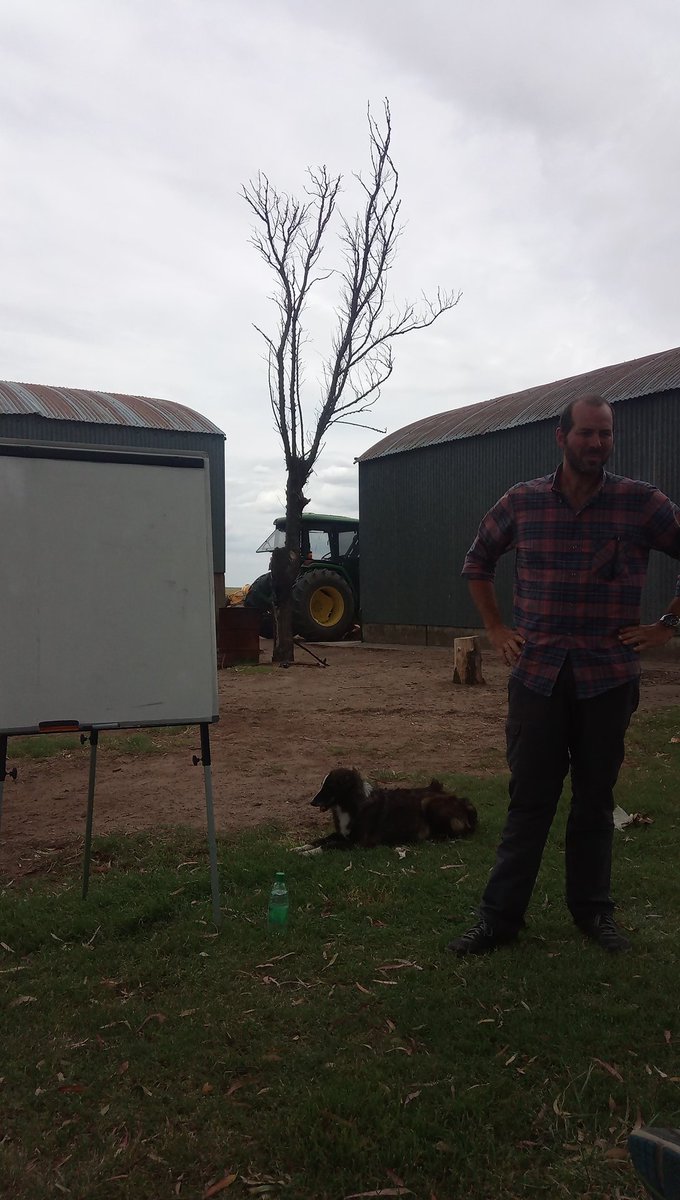 Guillermo RIVETTI tweet media