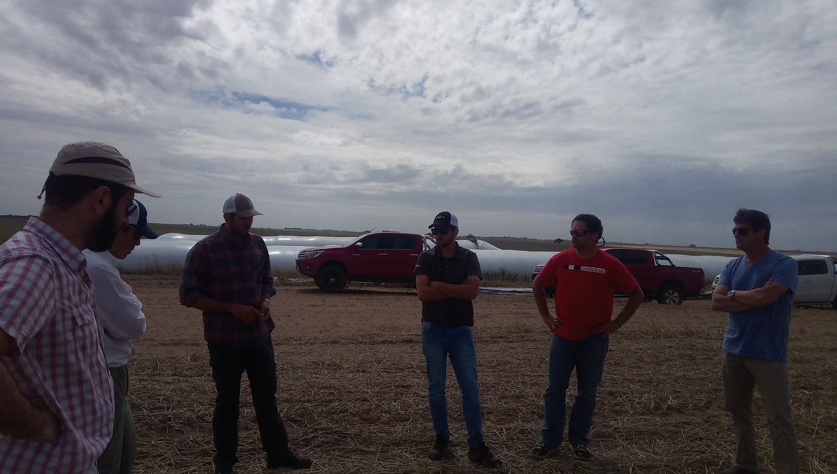 Guillermo RIVETTI tweet media