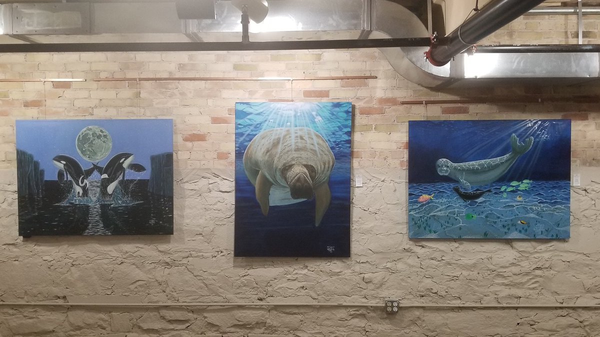 CustomSmittyArt's tweet image. All 3 of these paintings are for sale and will help #conservation I also have prints available! All 3 are 36"x48" and are #oilpaintings on #canvas. @savethemanatee @TMMC @oceana @endangered #art #artist #gallery #paintings #paintanddonate #Florida #Hawaii #artwork #artforsale