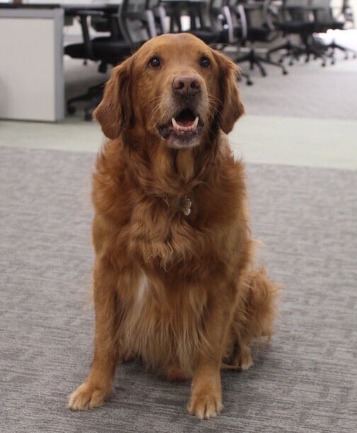 Jenny G. Rankin, PhD tweet media