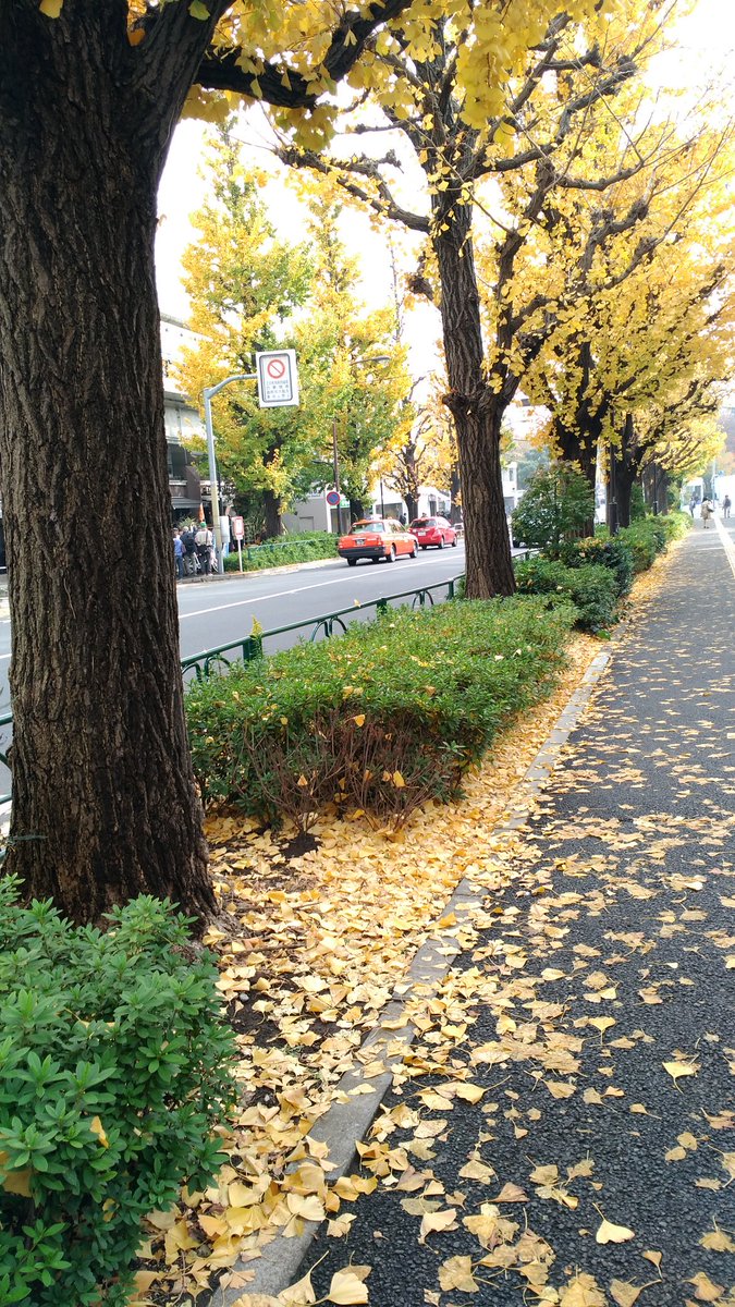 声優 樫村さぎ على تويتر オータム リーブスのスタンドが発動してカツアゲされそう Jojo ジョジョリオン カツアゲロード 紅葉 いちょう