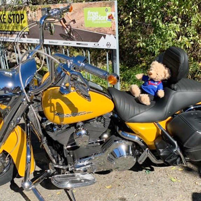 Anybody need a ride? 🏍 😎