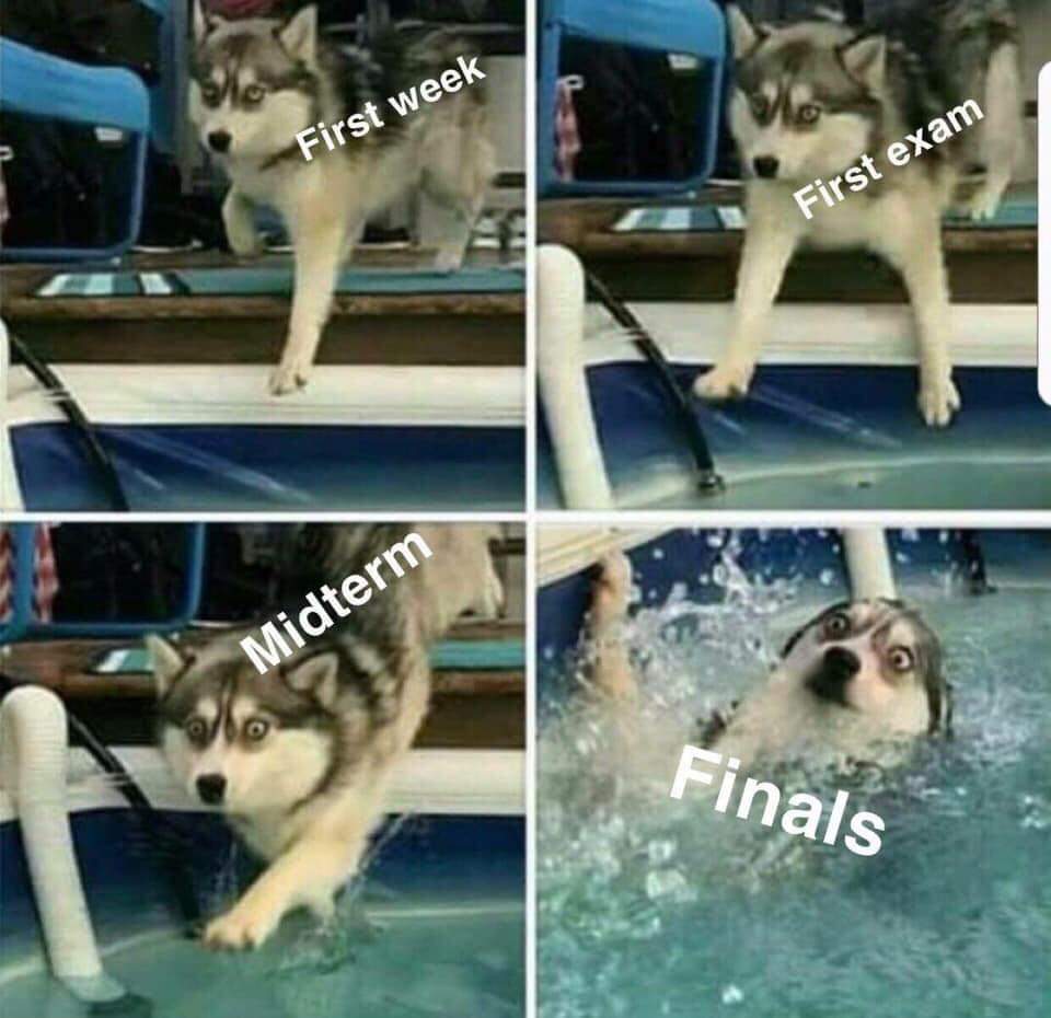 Hope everyone is keeping their head above water during this finals season!