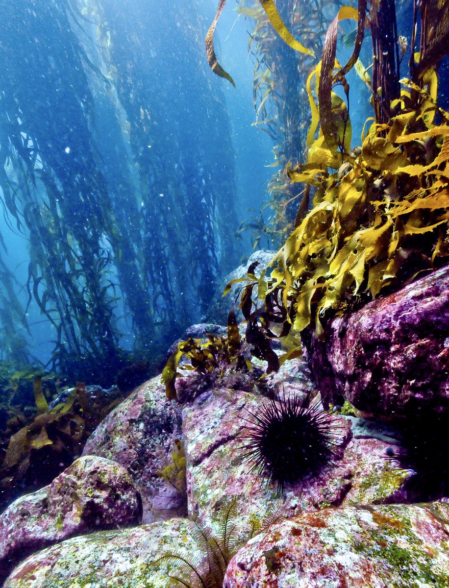 Scott Ling tweet media