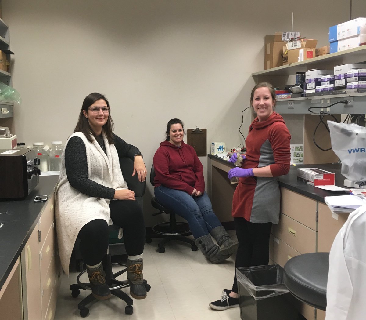 smbrander's tweet photo. Thursday gel session π§¬π©βπ¬#DNA #lablife #biologistlife #branderlab @OSUAgSci https://t.co/XST6KboFMk