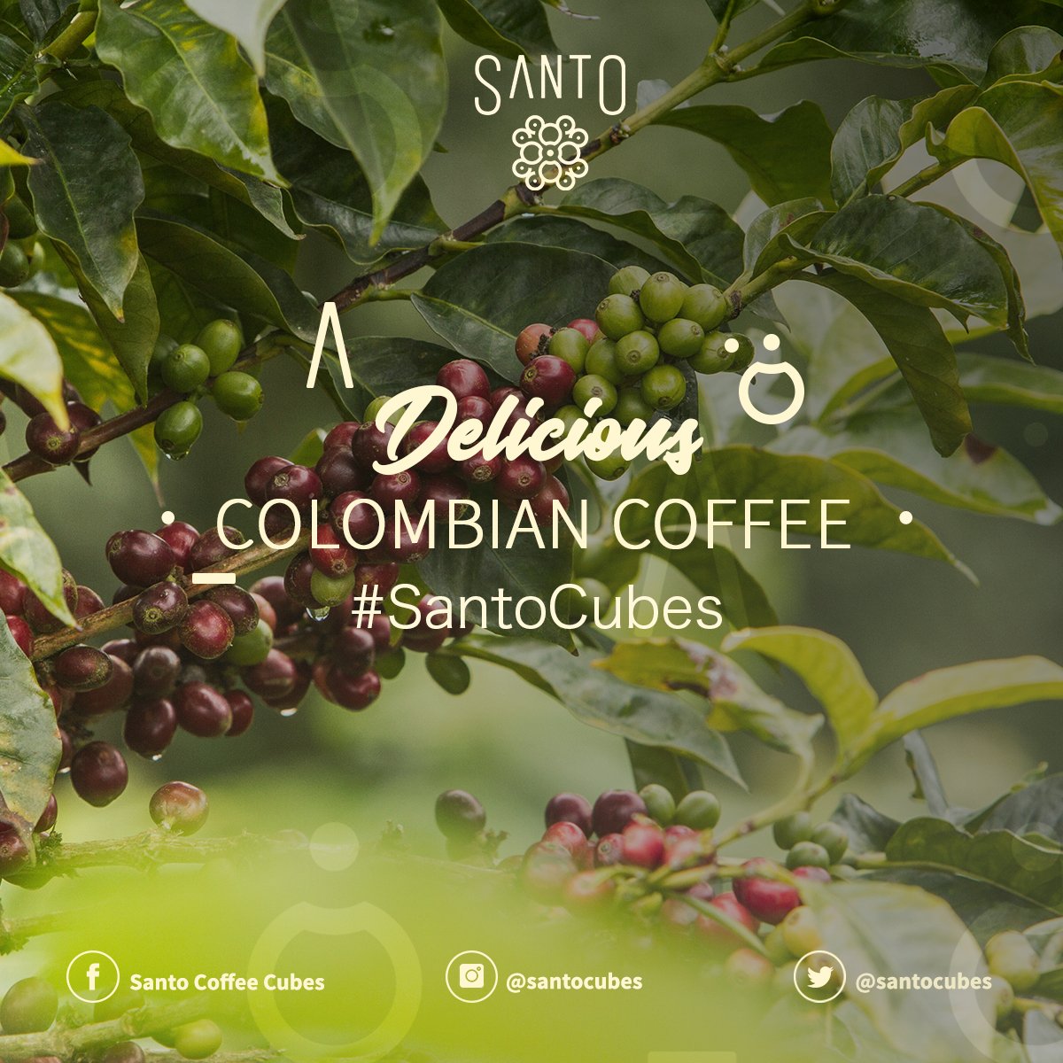 santocubes tweet media