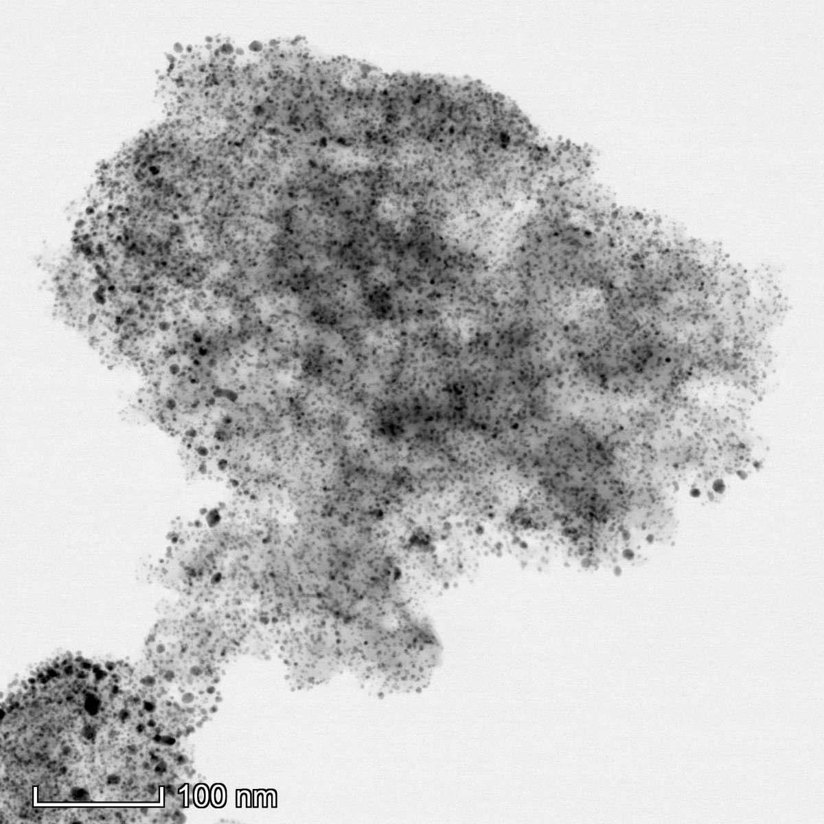 Great to see <a href="/Tao_Ye_/">Tao Ye</a> 's work in GW is published on <a href="/ACS_ANM/">ACS Applied Nano Materials</a> ! bit.ly/2Uo5aHF Contributions: (i) N-functionalized activated carbon supported Pd showed unexpected reactivity for oxyanion contaminant hydrogenation, and (ii) we found a catalyst dinosaur in TEM (no PS)!