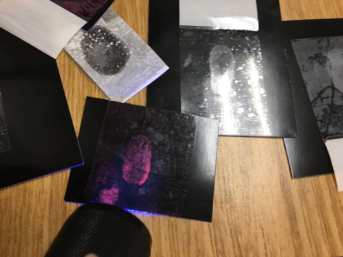 Heather_S_B's tweet photo. Forensics I students demonstrating their mastery of fingerprinting @jsrhs03281 https://t.co/glHEochR5A