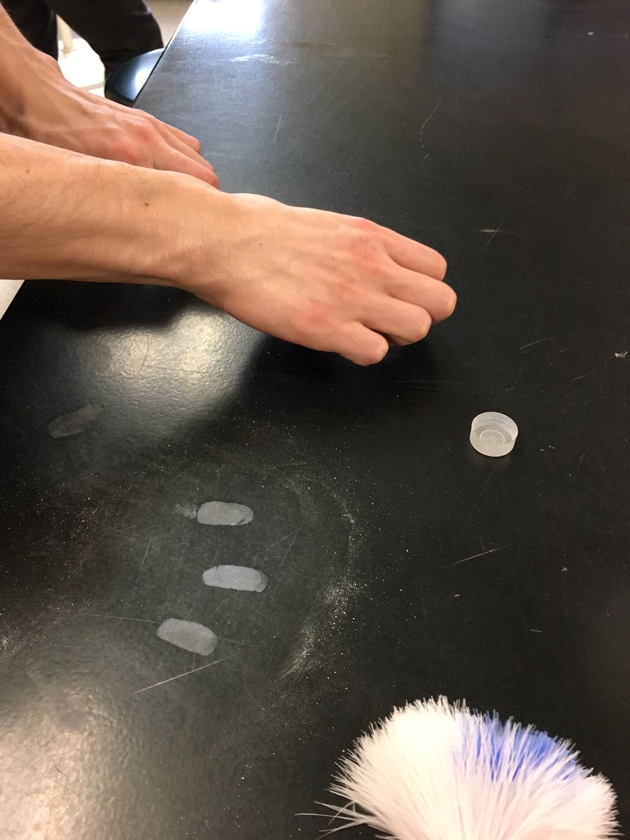 Heather_S_B's tweet photo. Forensics I students demonstrating their mastery of fingerprinting @jsrhs03281 https://t.co/glHEochR5A