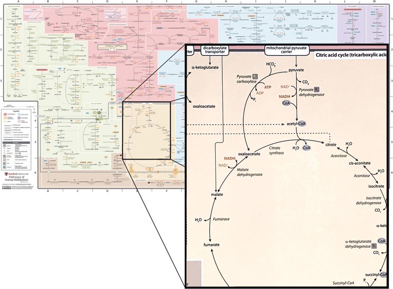 nuclear power technical and institutional options