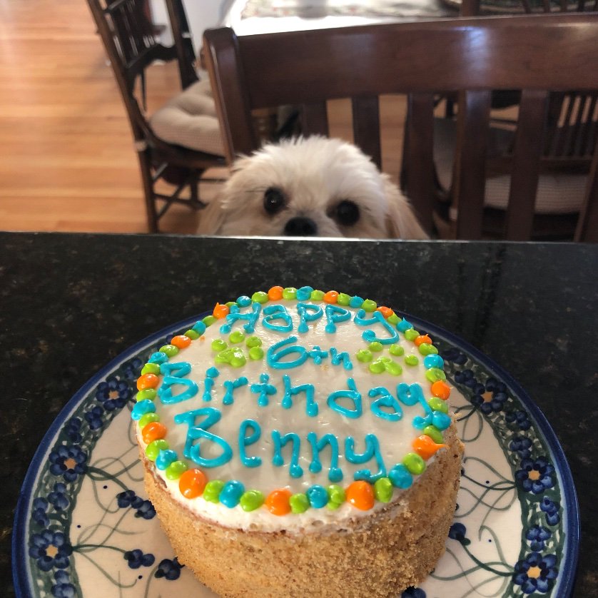 bella_wolf123's tweet photo. my birthday boy❤️❤️❤️ https://t.co/7ZmEIjYrIj