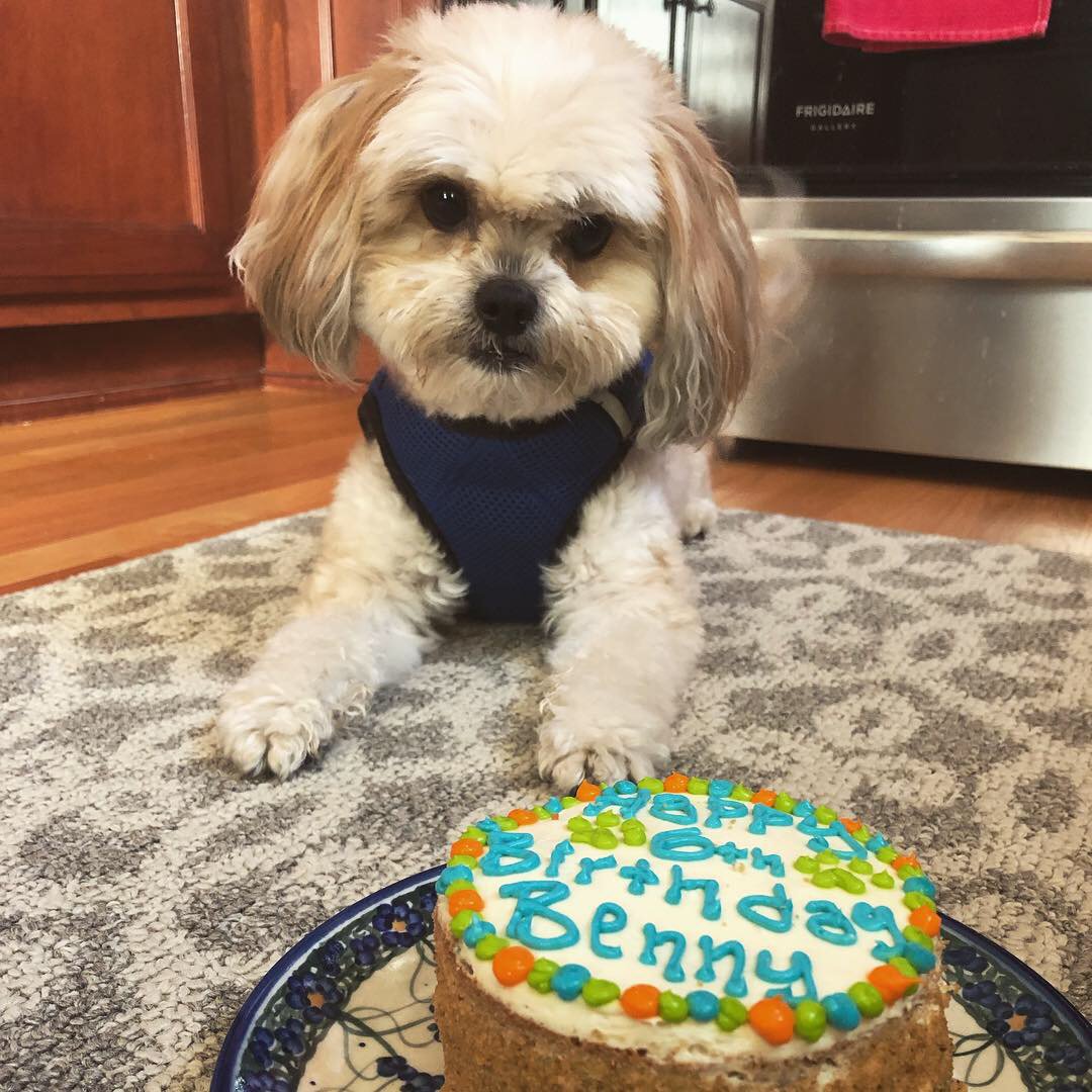 bella_wolf123's tweet photo. my birthday boy❤️❤️❤️ https://t.co/7ZmEIjYrIj