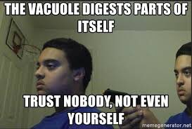chloroblast20's tweet photo. You can always trust me as your president unlike @grandolevacuole 🤷🏽‍♀️ #voteforme #OrganelleVoteSTHS2018 https://t.co/uKgqpKh3MY