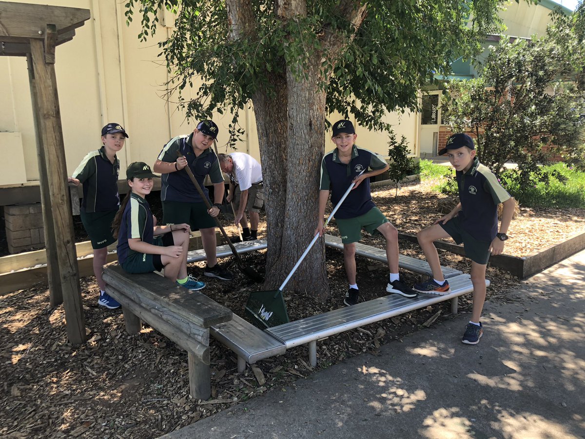 beceasey's tweet image. Members of our Parliament, ‘Building Club’, constructing a friendship garden with dragons and fairies in response to 1B’s requests. @BelHoop1 @NarellanValePS @shellreflecting @MrsLordie @SuellenMair