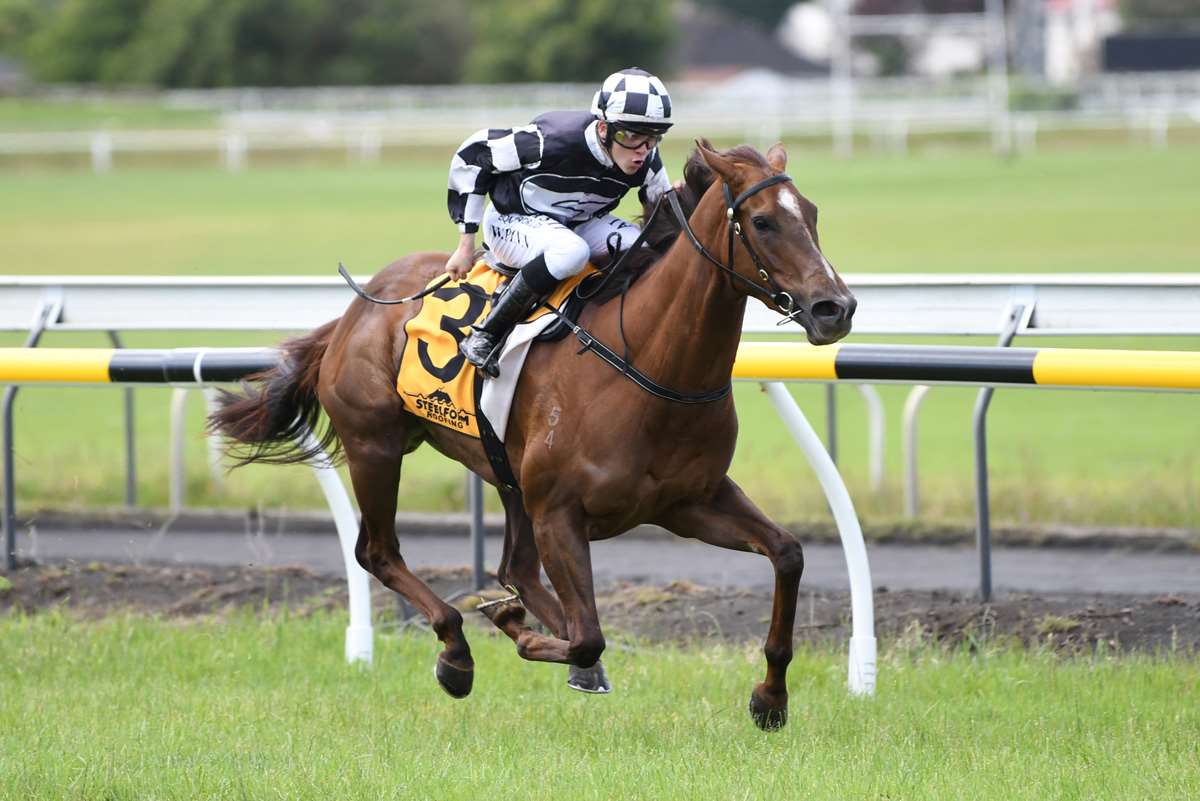 Gavelhouse (gavelhouse) Twitter