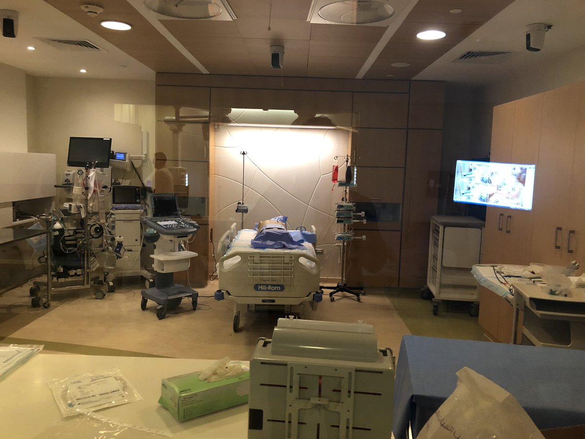 Vitor Barzilai tweet media