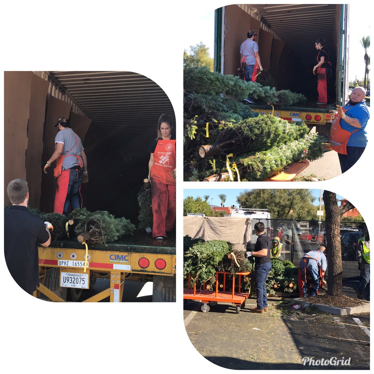 Brea1072's tweet photo. When you ask for your tree truck 2 days early, it’s all hands on deck. Thank you to all our DH’s who sprung into action and helped unload the truck. @Allen83hd @JabarrBean @mike_astorino @Haydnchilcott https://t.co/zgzW9BCgU8