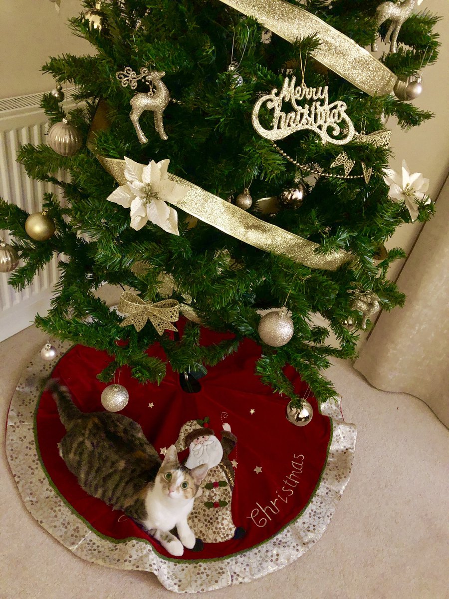 Loving Christmas in our own home ☺️❤️