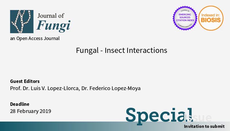 JoF_MDPI's tweet photo. Submission deadline for Fungal-Insect Interactions extended till 28 Feb 2019. Papers on #entomopathogenicfungi, #fungalinsectsymbiosis, #fungalinfection&amp;pathogenesis in insects, #insectimmunity to fungal infection, and #insectbiocontrol are very welcome: https://t.co/wkFsXVSbZV https://t.co/Ig9TTcFiHH