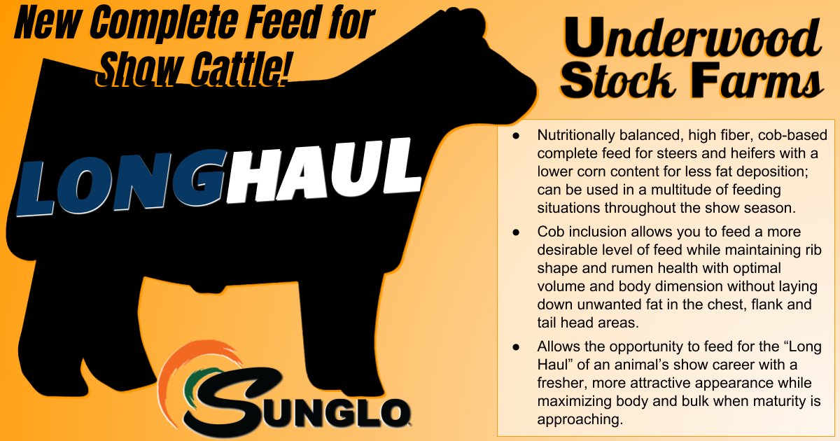 UnderwoodBeef's tweet photo. We're starting to hear some buzz on a new complete feed from @SungloFeeds! LONG HAUL could be the game changer that you'll be looking for when the show season gets into full swing! Watch us and https://t.co/mDGfHGDuWd for more details on this great new product! https://t.co/6AKMmSWwdk
